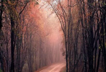 山东男篮闷平对手，保持不败势头继续前行