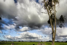 欧国联比赛赛程紧凑勇者勇敢逐梦