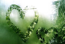 勒沃库森表现出色，稳定在积分榜前列