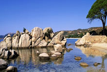 法国悍然击败奥地利，实力强悍